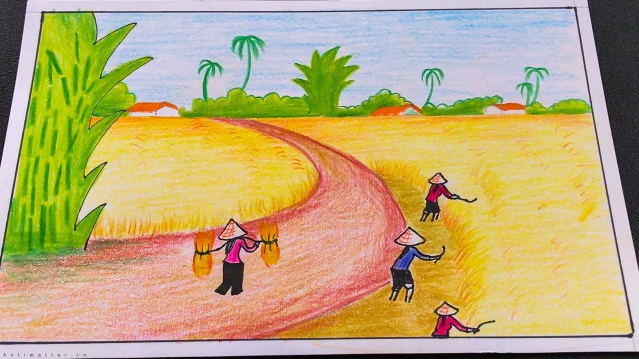 Hình ảnh Vẽ Cánh đồng Lúa Trang Màu đường Hình ảnh Clipart Phác Thảo Vectơ  PNG , Vẽ Xe, Vẽ Hoạt Hình, Vẽ Cánh PNG và Vector với nền trong suốt để