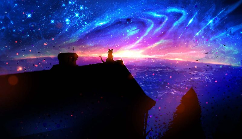 ảnh anime galaxy mèo ngồi ngắm bầu trời