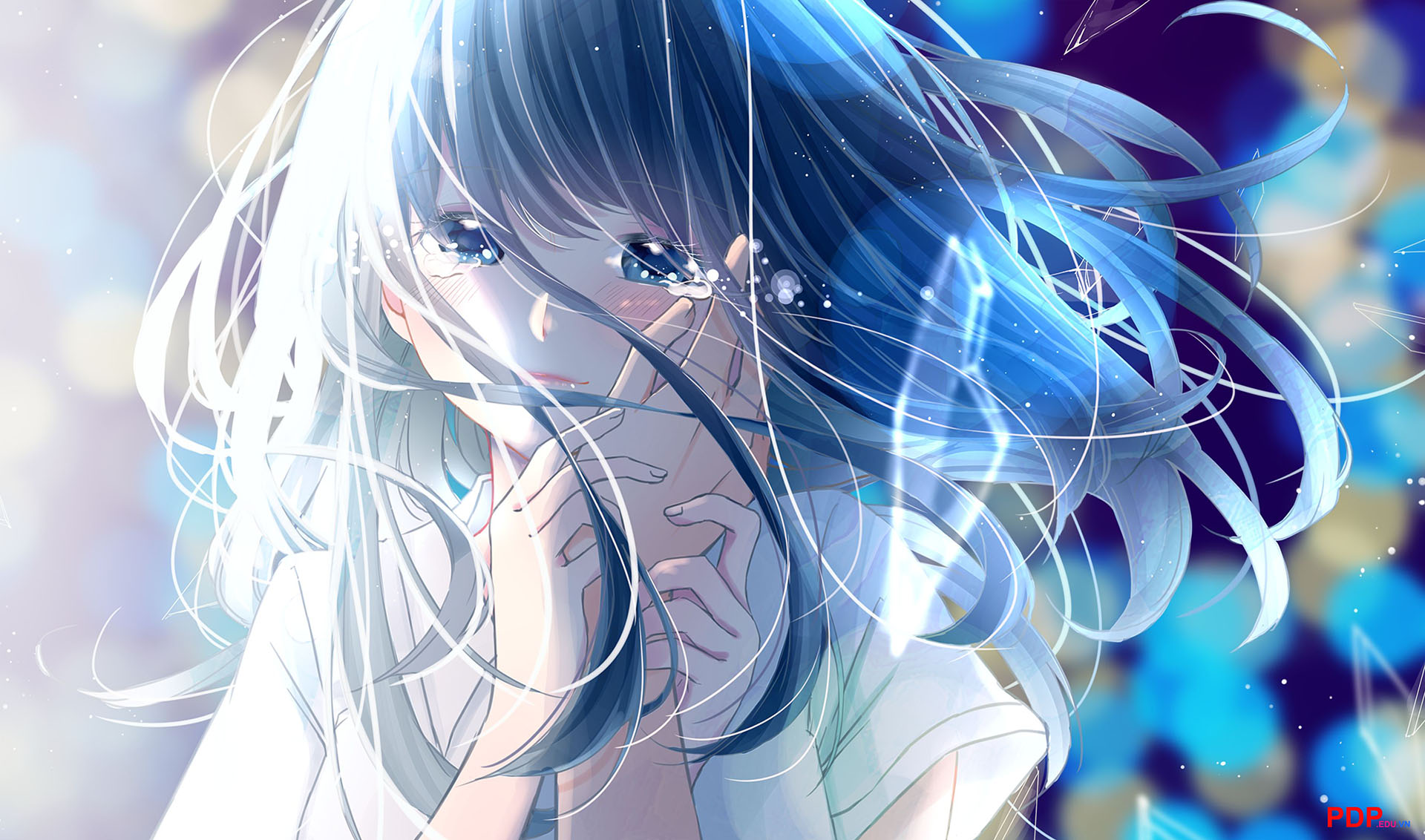 Xả ảnh anime Anime girl tóc xanh dương1 Wattpad