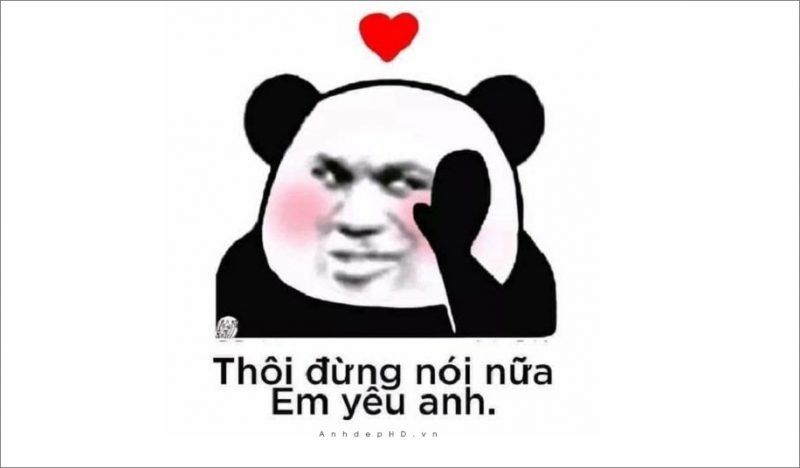 Ảnh meme gấu trúc (weibo)