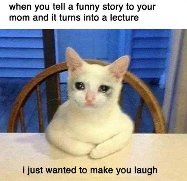 Lustige Katze weint Meme-Foto