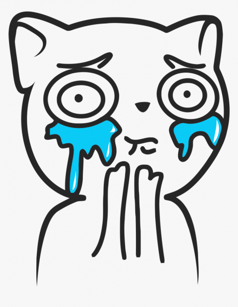 Foto eines weinenden Katzenmems