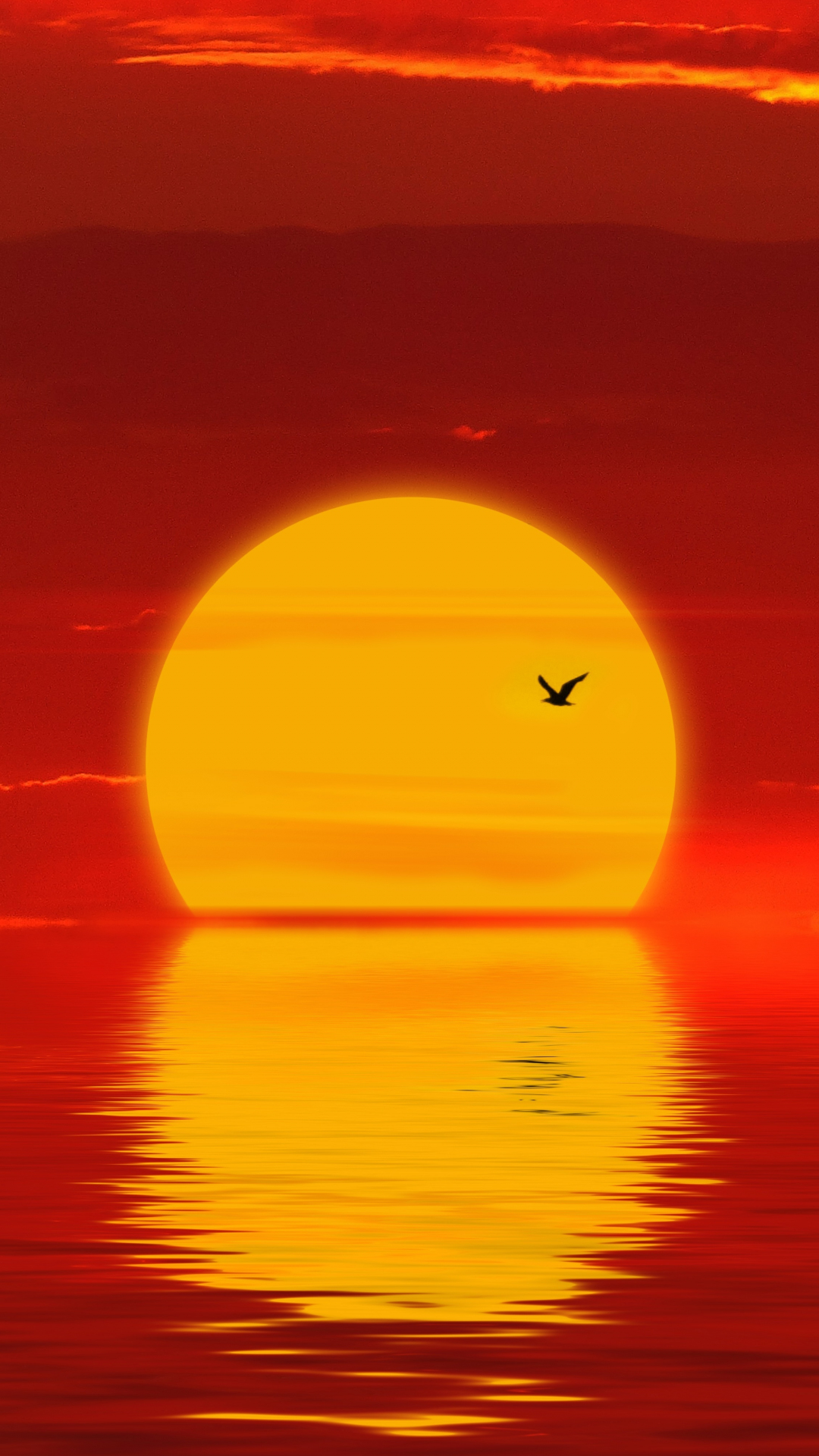 ảnh Lúc Mặt Trời Lặn Vẽ Con Tê Giác Dùng Thủy Thủ Tải Xuống Miễn Phí ảnh  phong cảnh bầu trời khi mặt trời lặn tự nhiên đẹp Trên Lovepik