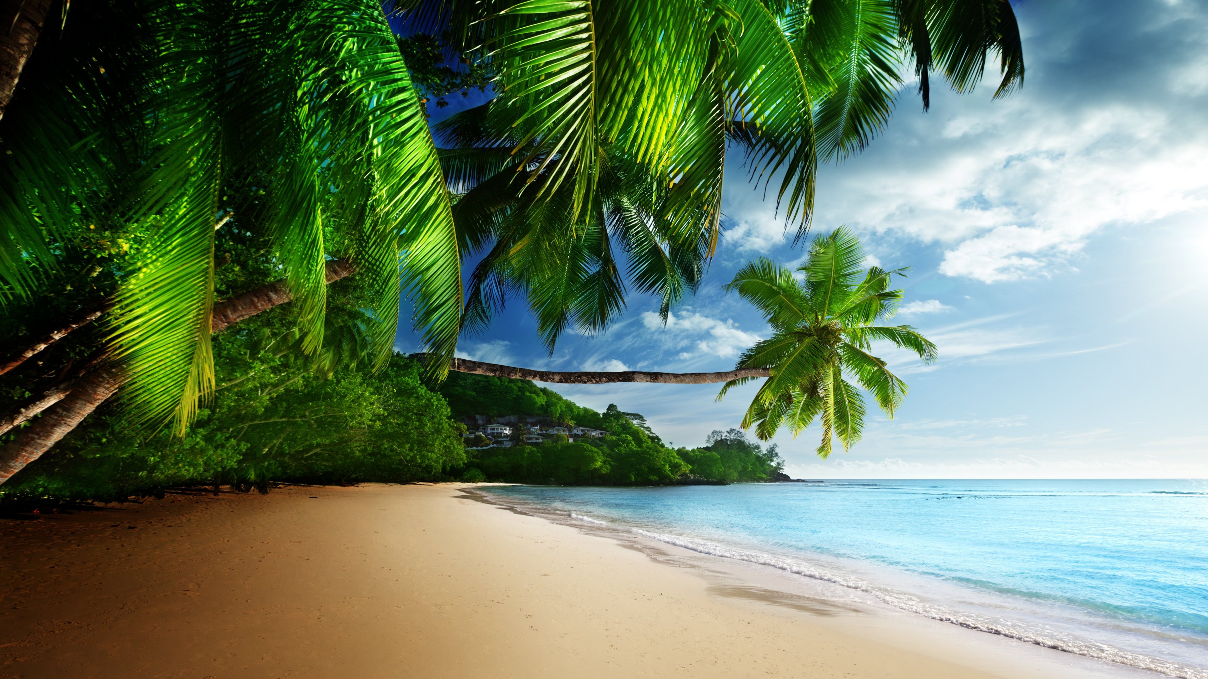 Tuyển chọn 999+ hình nền biển đẹp nhất thế giới Hình nền chất lượng cao