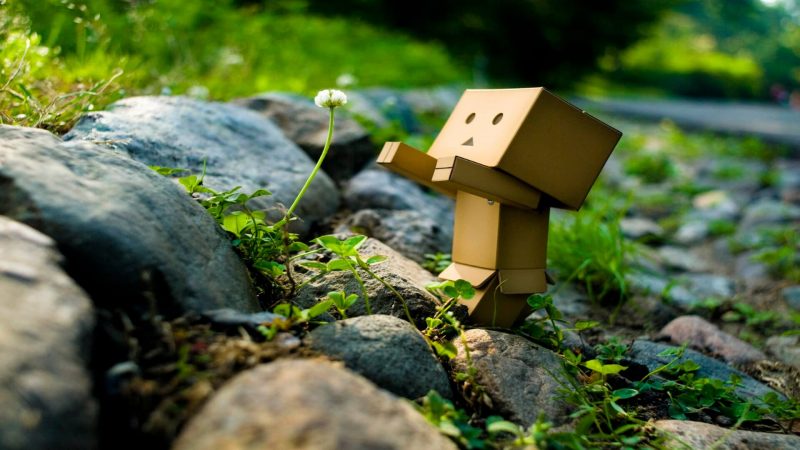 Ảnh người gỗ Danbo
