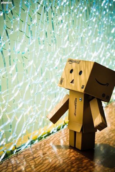 ảnh người gỗ ngắm nhìn