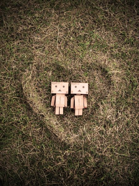 ảnh người gỗ và người yêu