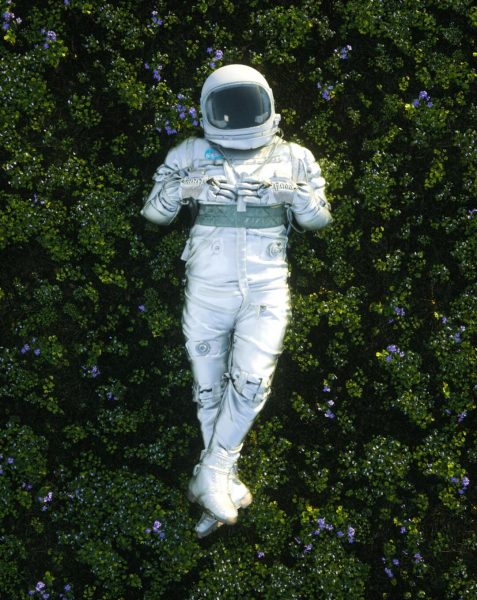 Foto des Astronauten, der auf einem Blumengebiet liegt