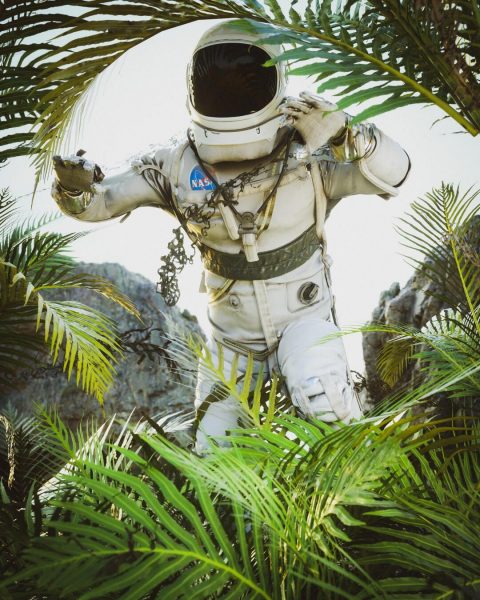 Foto des NASA-Astronauten, der den Wald betritt