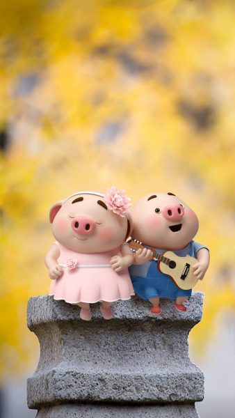 Schönes Liebesfoto von zwei kleinen Schweinchen