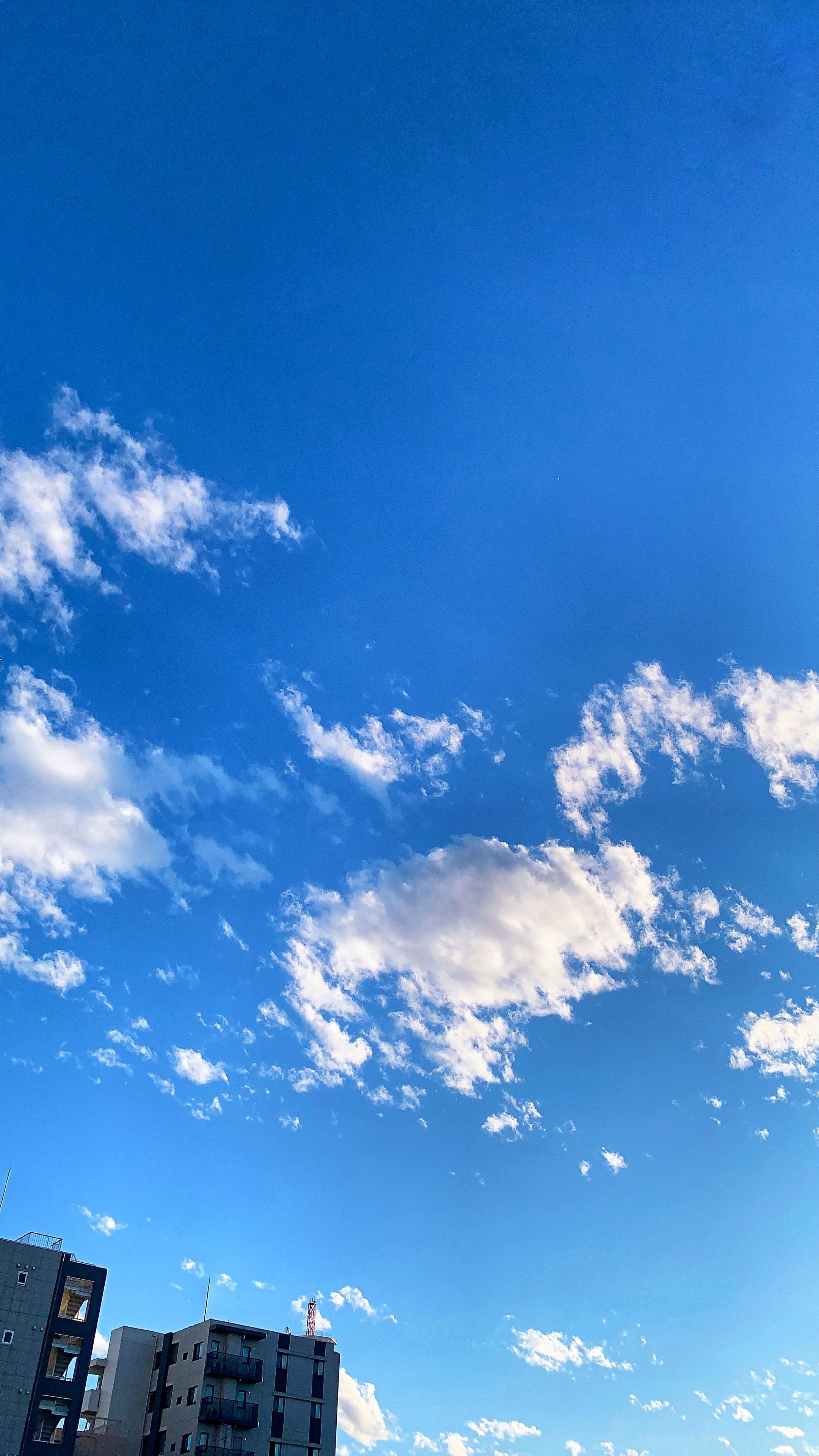 Hình nền bầu trời đẹp trong xanh: Bạn muốn lựa chọn một hình nền mới cho máy tính của mình? Bức ảnh này là lựa chọn hoàn hảo với màu xanh đặc trưng của bầu trời kết hợp với ánh nắng và đám mây mơ màng. Bạn sẽ phải ngỡ ngàng trước sự độc đáo của bức ảnh này.