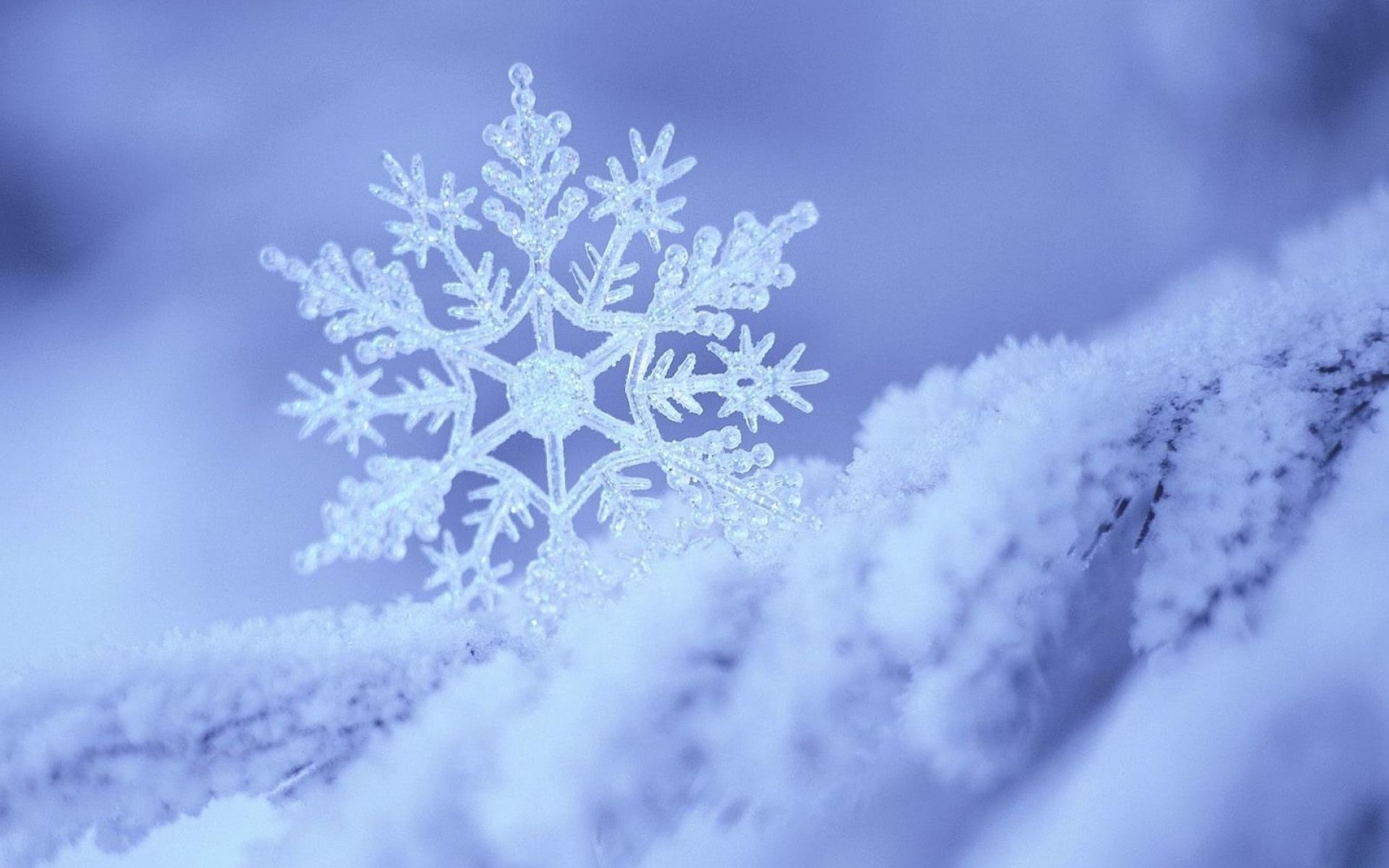 Hình nền Nền Hoa Tuyết Giáng Sinh ảo Màu Xanh Mờ Nền, Tuyết Rơi, Mùa đông,  Bông Tuyết Background Vector để tải xuống miễn phí - Pngtree