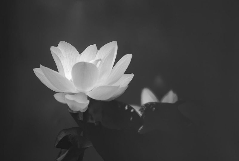 Hình ảnh để tang