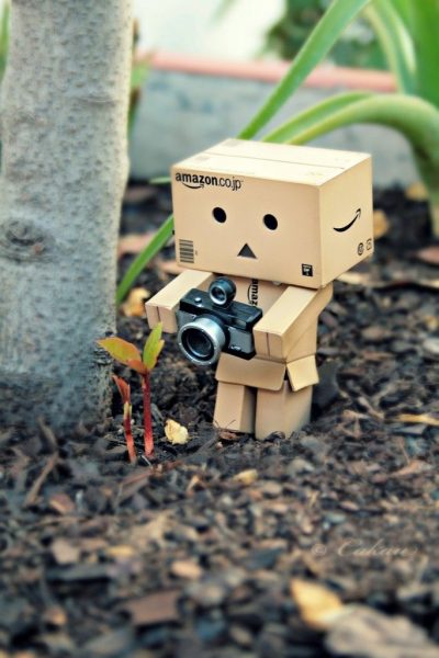 hình ảnh người gỗ chụp hình