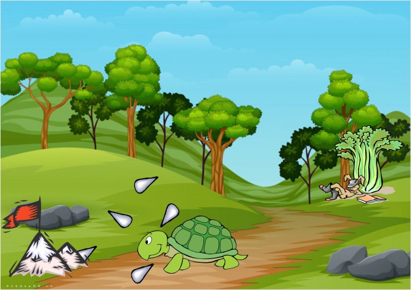 Hình ảnh rùa và thỏ