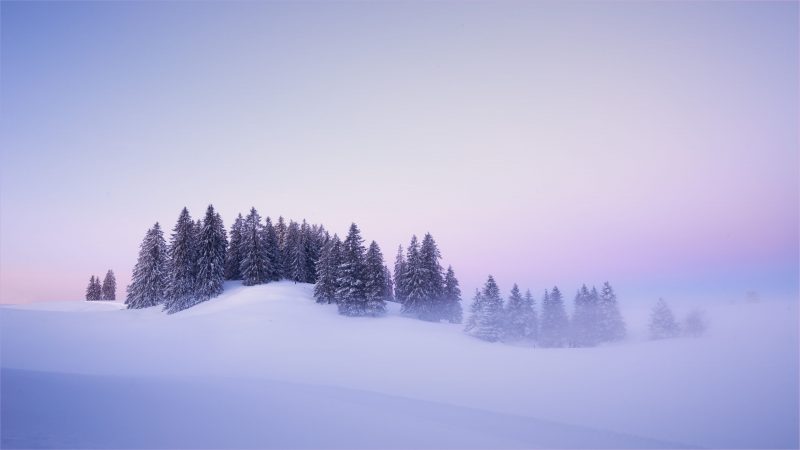 Hình nền 4K sương mù và tuyết trắng trên đồi cây mùa đông 3840x2160 pixels