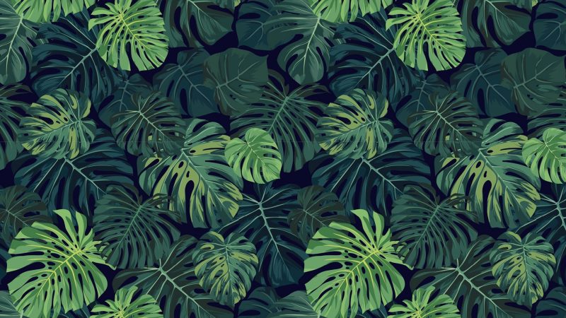 Hình nền desktop rừng cọ xanh
