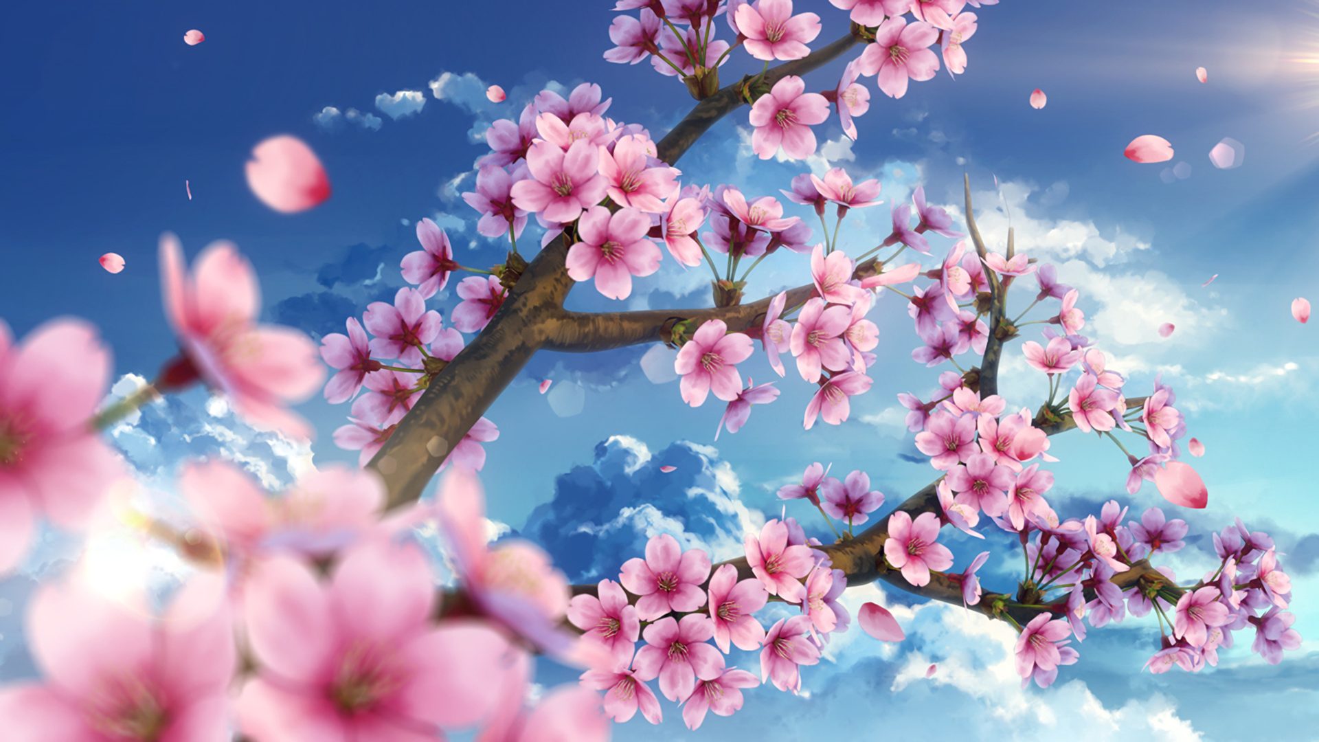 Hình nền  phong cảnh Anime Bầu trời mùa đông chi nhánh nhà ở  Vocaloid Hatsune Miku Hoa anh đào Mùa xuân cây thực vật 1920x1080 px Hình  nền máy tính khu