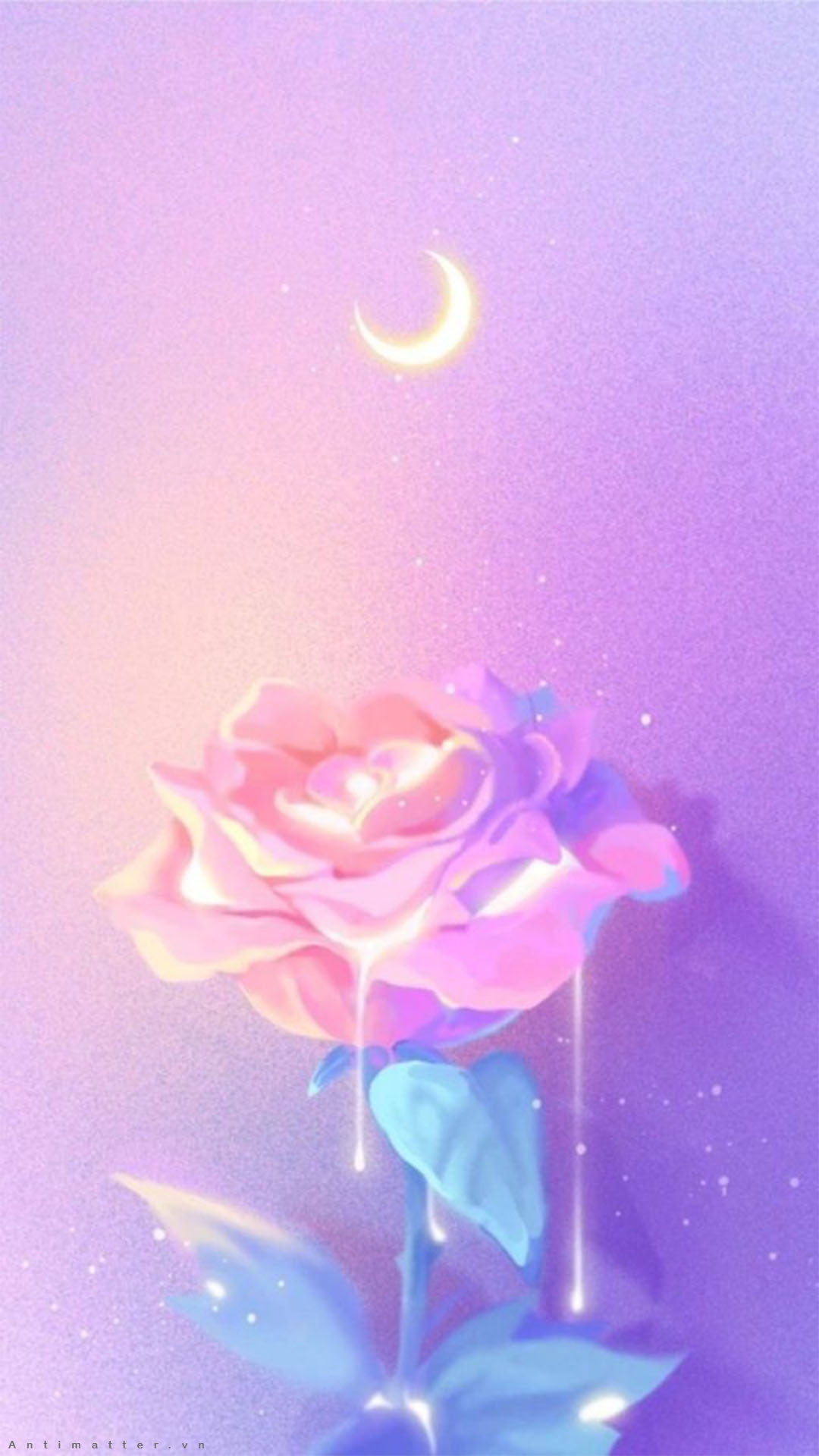 Top hình nền điện thoại hoa sen đẹp  In Hòa Hiệp