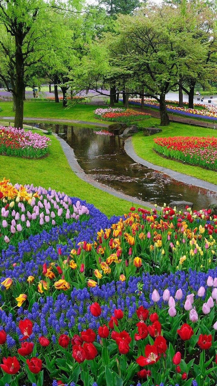 200000 ảnh đẹp nhất về Vườn Hoa  Tải xuống miễn phí 100  Ảnh có sẵn  của Pexels