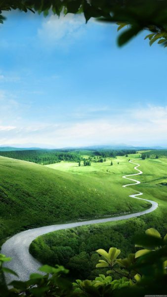 Hình nền lá cây cho điện thoại