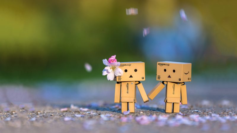 Hình nền người gỗ