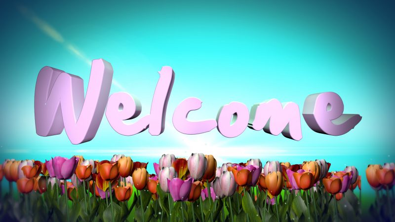 hình nền powerpoint xin chào và hoa tulip