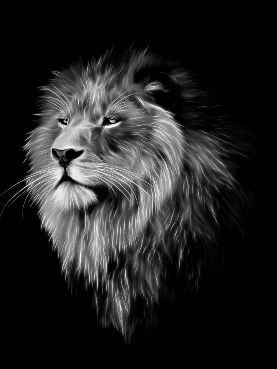 Cập nhật 75+ về hình nền sư tử đẹp hay nhất - cdgdbentre.edu.vn