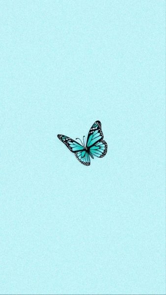 hình nền xanh con bướm mini