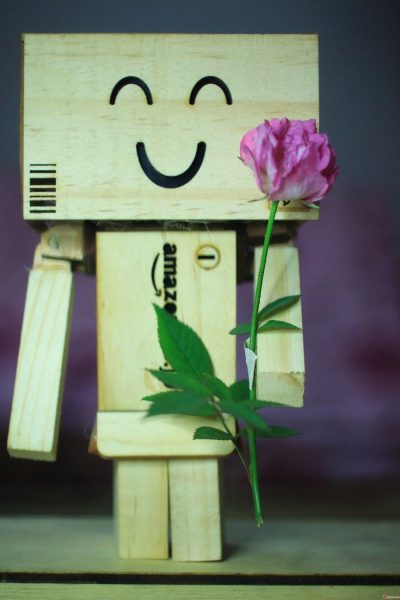 hình người gỗ cười tươi