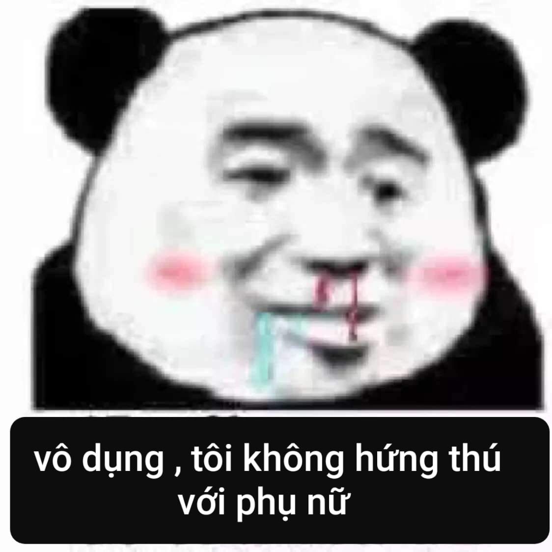 255+ Hình Ảnh Meme Gấu Trúc Weibo Trung Quốc Bựa Hết Nấc