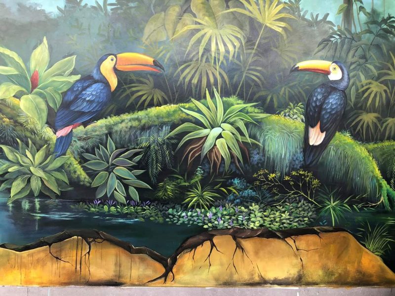 Tranh tường 3D rừng Nam Mỹ và hai chú vẹt