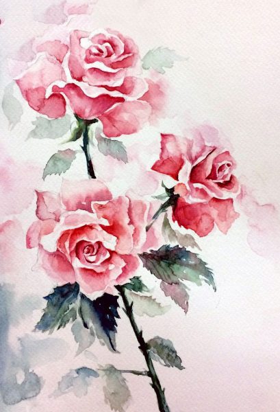 Tranh vẽ hoa hồng bằng màu nước