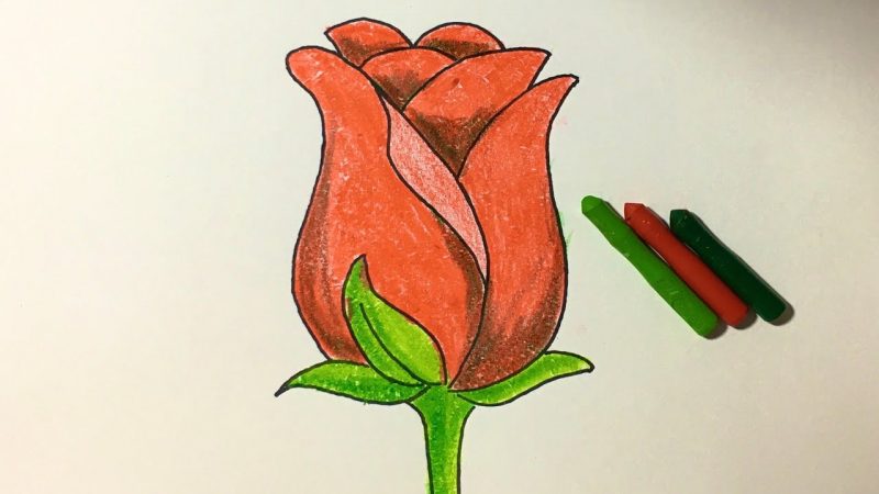Tranh vẽ hoa hồng bằng màu sáp