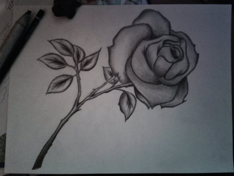 Tranh vẽ hoa hồng từ chì đen