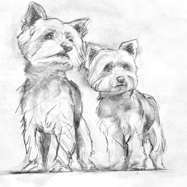 Vẽ tranh đen trắng hai chú chó