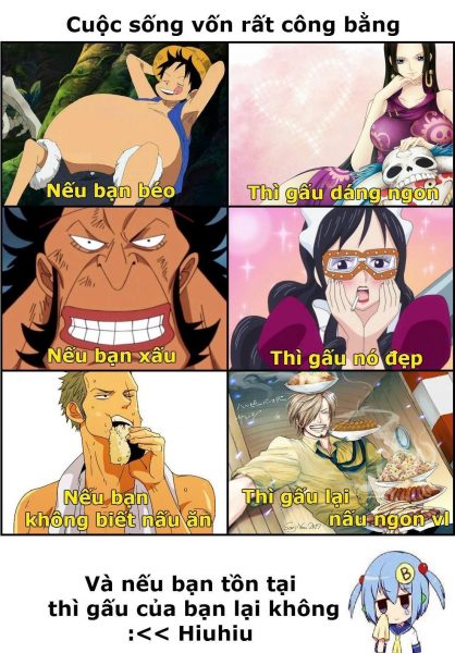One Piece Memes, das Leben ist immer noch fair