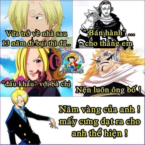 Lustige One Piece Meme