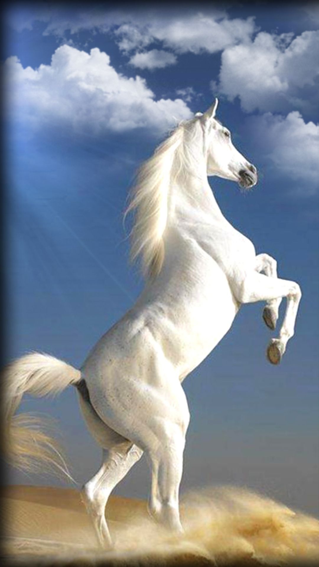 HÌNH NỀN NGỰA ĐẸP DÀNH CHO ĐIỆN THOẠI  Pretty horses Horse painting  Horses