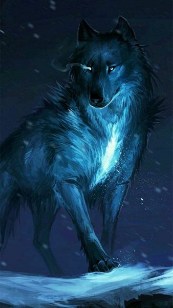ảnh con sói ánh xanh dương