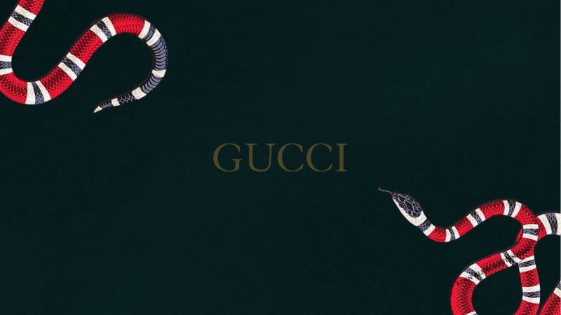 ảnh Gucci cho máy tính