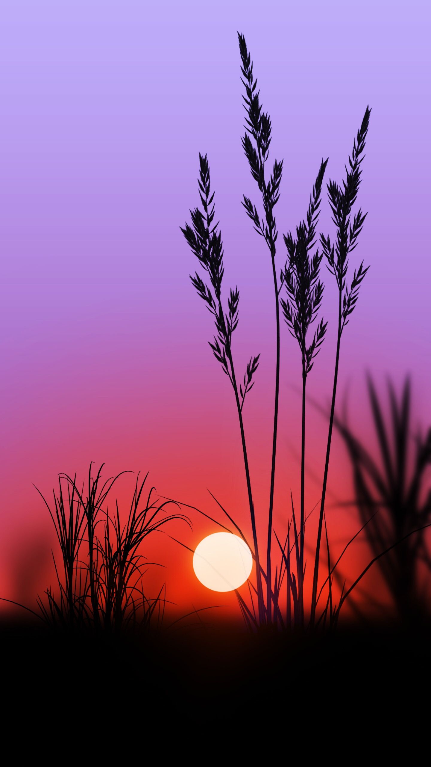 Hình ảnh hoàng hôn tím trong cánh đồng để lại trong bạn một cảm giác khó tả. Sắc đỏ tím đẹp buồn, lãng mạn của bầu trời khiến bạn phải mãi ngắm nhìn và suy ngẫm về cuộc đời. Hãy tận hưởng khoảnh khắc đó và cảm nhận sự đẹp của thiên nhiên.