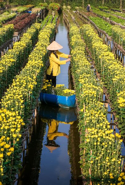 Ảnh làng quê Việt Nam cô gái hái hoa bên sông