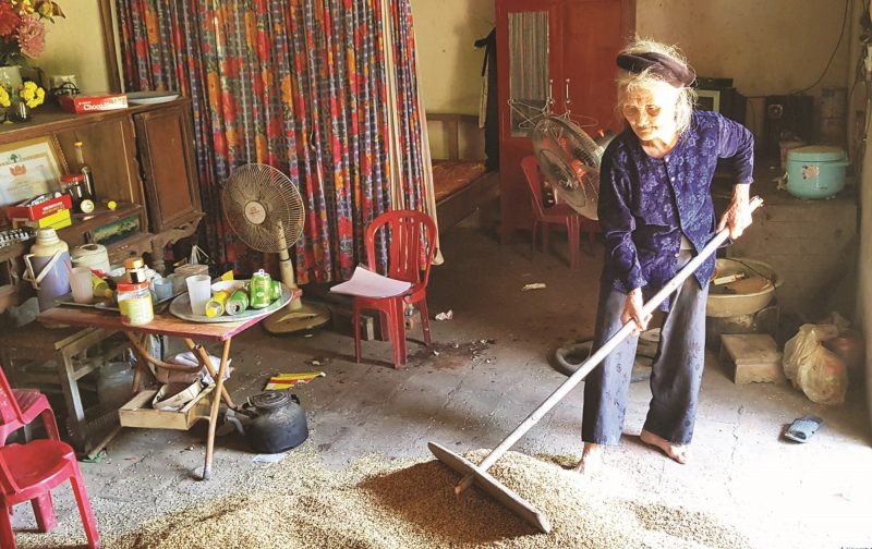 ảnh mẹ già ảnh người mẹ già làm việc