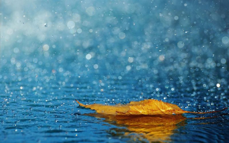 Ảnh mưa tí tách trên đường