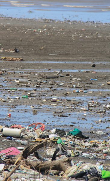 Foto der Boden- und Wasserverschmutzung in Küstengebieten