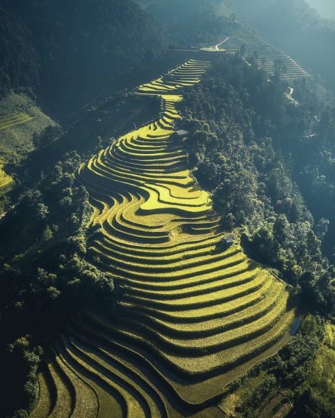 ảnh Sapa ruộng bậc thang