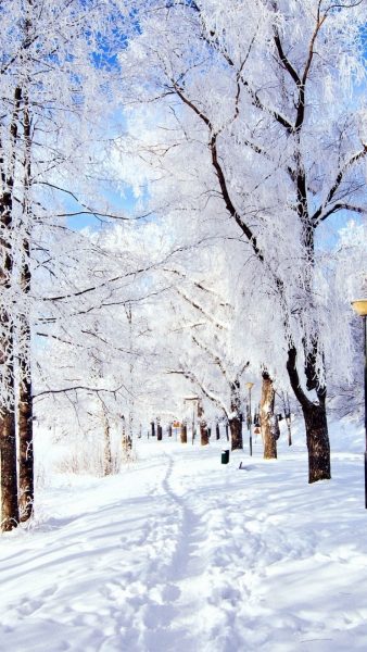 Romantisches Foto mit weißem Schnee