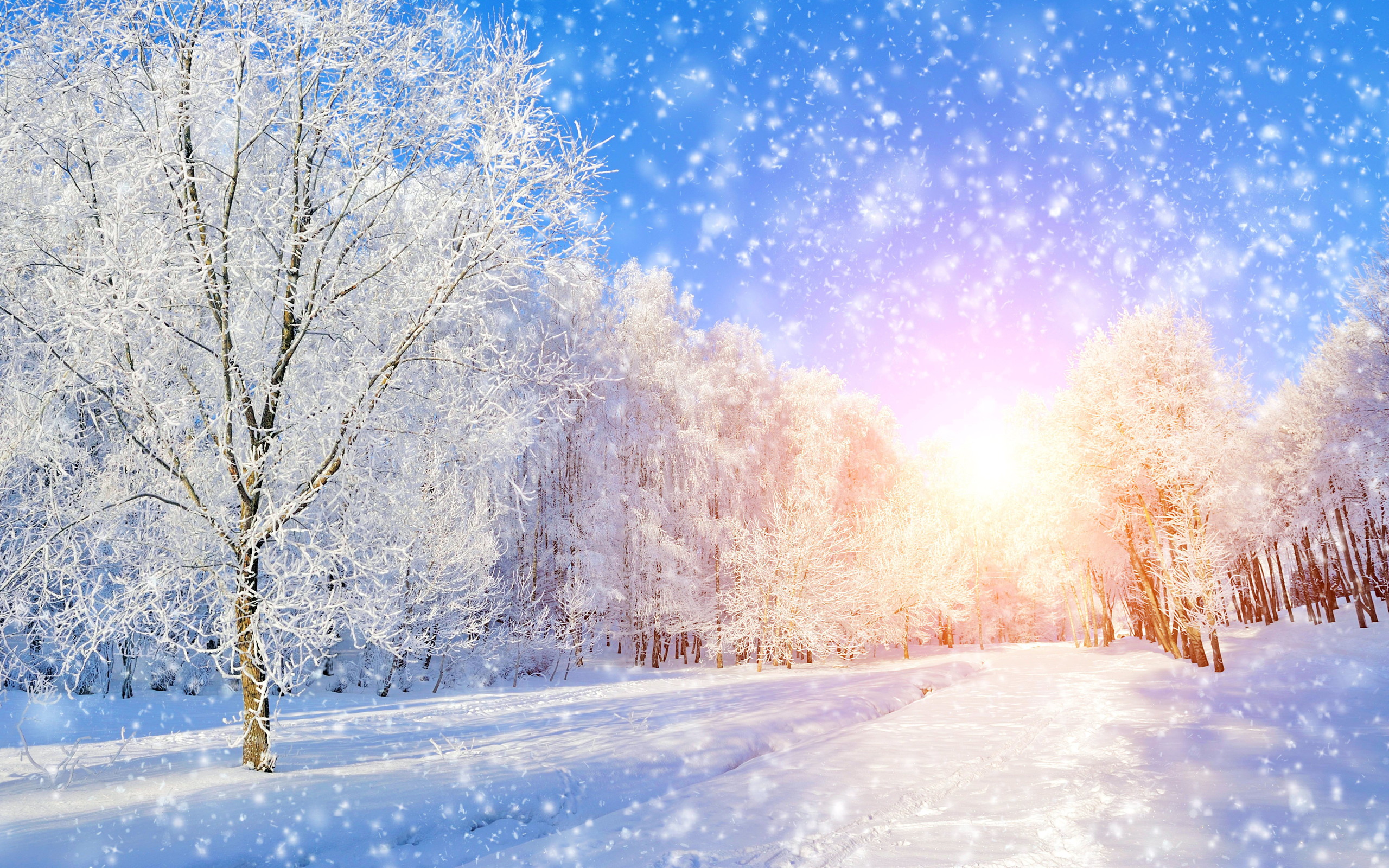 Tổng hợp hình ảnh mùa đông đẹp nhất - Ảnh đẹp mùa đông
