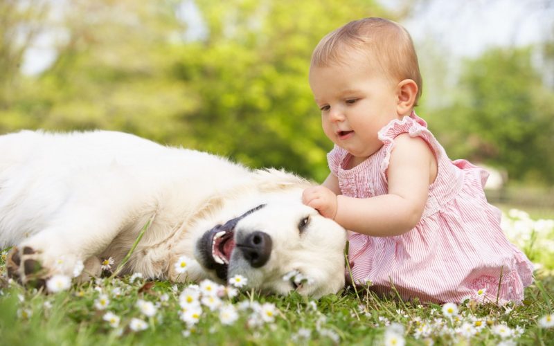 Hình ảnh baby chơi đùa với chú chó trắng